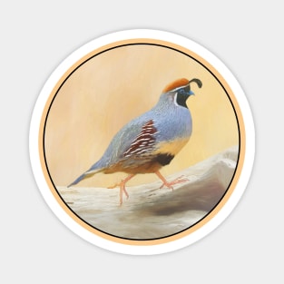 Gambrel's Quail Magnet